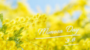 Mimosa Day (Happy International Women’s Day) 2026！「自分らしく輝く女性」を祝福